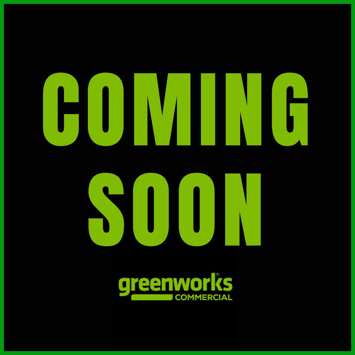Greenworks Buggie